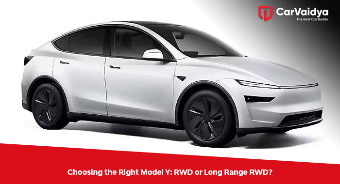 Choosing the Right Model Y: RWD or Long Range RWD?
